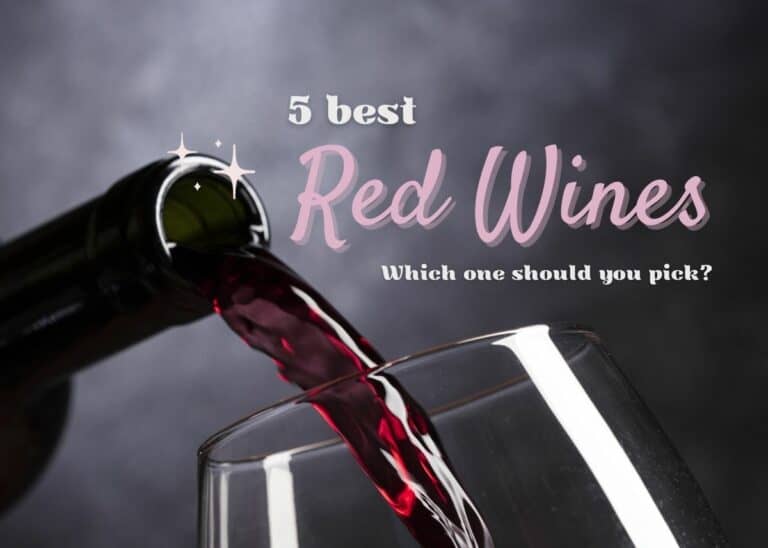 5 Best Red Wines And Which One Should You Pick?