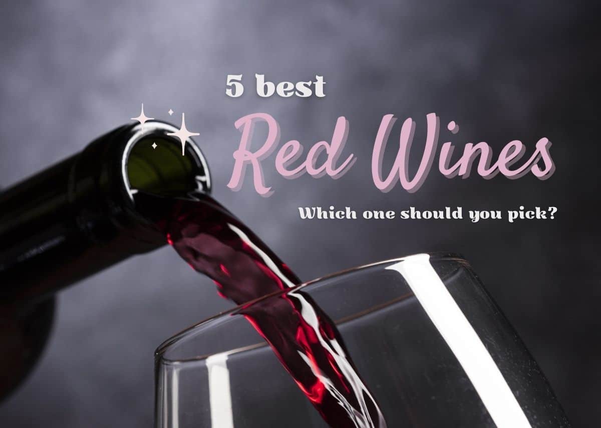 5 Best Red Wines And Which One Should You Pick?