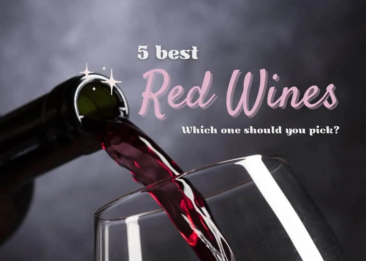 5 Best Red Wines And Which One Should You Pick? Plattershare Food On Plattershare