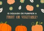 Is Squash or Pumpkin a Fruit or Vegetable?