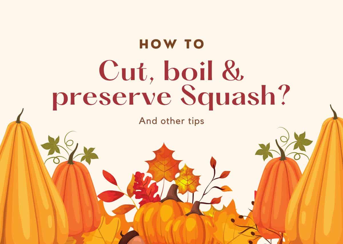 How to cut and boil Squash? How to preserve Squash? And other tips