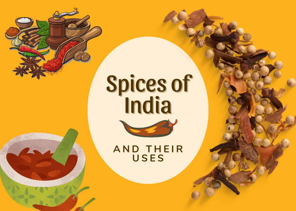 Spices of India With Photos And Uses