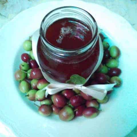 Karonda Jelly - Plattershare - Recipes, Food Stories And Food Enthusiasts