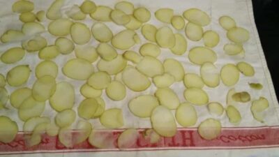 Crispy Air Fryer Potato Chips: A Healthier Homemade Snack - Plattershare - Recipes, food stories and food lovers Homemade crispy potato chips prepared in an air fryer.