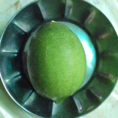 Sweet & Tangy Lemon Skin Chutney: A Lost & Found Indian Recipe - Plattershare - Recipes, food stories and food lovers Lemon skin chutney in a stainless steel bowl, showcasing the vibrant green lemon.