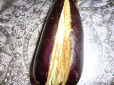 Spicy Stuffed Eggplant (Bharwan Baingan): A Flavorful Indian Vegetarian Recipe - Plattershare - Recipes, food stories and food lovers Spicy Stuffed Eggplant (Bharwan Baingan): A Flavorful Indian Vegetarian Recipe - Plattershare - Recipes, food stories and food lovers