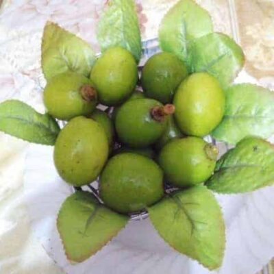 Rasila Amra (Wild Mangoes) - Plattershare - Recipes, food stories and food lovers Rasila Amra (Wild Mangoes) - Plattershare - Recipes, food stories and food lovers