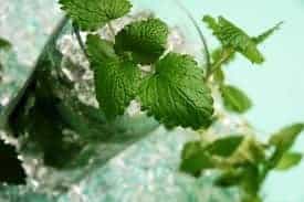 Classic Mojito Recipe: The Ultimate Refreshing Cuban Cocktail - Plattershare - Recipes, food stories and food lovers Classic Mojito Recipe: The Ultimate Refreshing Cuban Cocktail - Plattershare - Recipes, food stories and food lovers