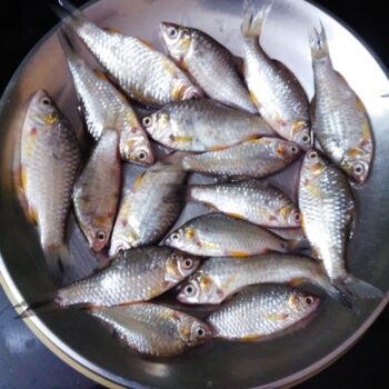 Tiny Fish (Bengali) - Plattershare - Recipes, food stories and food lovers