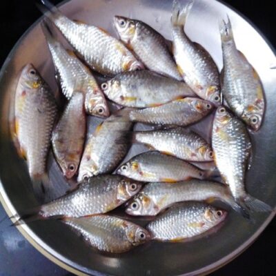 Steamed Bengali Tiny Fish in Banana Leaves (Machher Paturi) - Plattershare - Recipes, food stories and food lovers Steamed Bengali Tiny Fish in Banana Leaves (Machher Paturi) - Plattershare - Recipes, food stories and food lovers