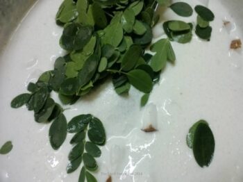 Drumstick Leaves/Murungai Elai Adai (South Indian Pancake With Drumstick Leaves/Moringa Leaves) - Plattershare - Recipes, food stories and food lovers