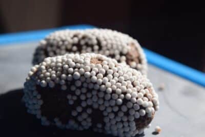 Choco-Coconut Energy Bites - Plattershare - Recipes, Food Stories And Food Enthusiasts