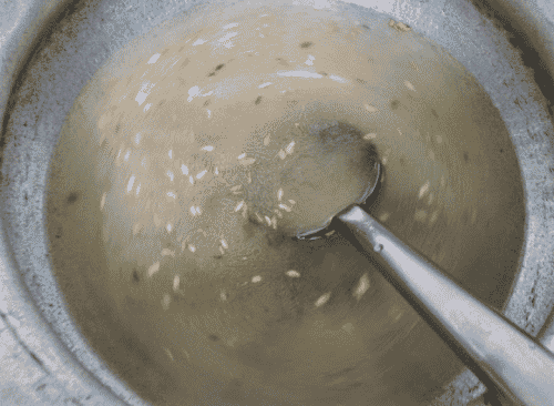 Sweet Sindhi Tairi: Festive Jaggery Rice With Saffron & Nuts Recipe
