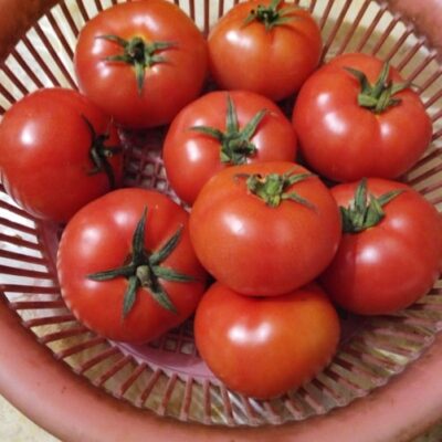 Vibrant Tomato Garlic Soup with a Touch of Cream and Cheese Straws - Plattershare - Recipes, food stories and food lovers Vibrant Tomato Garlic Soup with a Touch of Cream and Cheese Straws - Plattershare - Recipes, food stories and food lovers