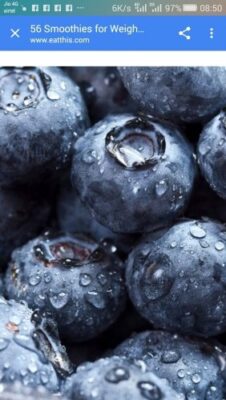 Refreshing Blueberry Yogurt Smoothie for Weight Management - Plattershare - Recipes, food stories and food lovers Refreshing Blueberry Yogurt Smoothie for Weight Management - Plattershare - Recipes, food stories and food lovers