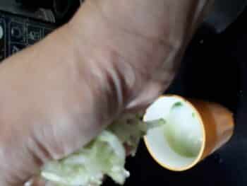 Litchi N Cucumber Popsicle - Plattershare - Recipes, food stories and food lovers