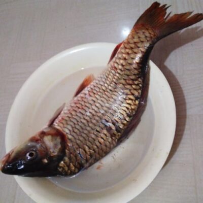 Bengali Fish Head with Chana Dal (Jamai Shashthi Special) - Plattershare - Recipes, food stories and food lovers Bengali Fish Head with Chana Dal (Jamai Shashthi Special) - Plattershare - Recipes, food stories and food lovers
