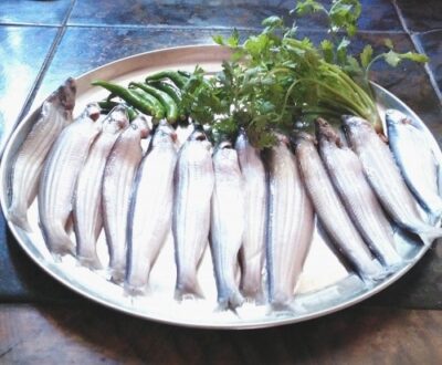 Authentic Bengali Fish Curry: A Flavorful, Easy Recipe - Plattershare - Recipes, food stories and food lovers Authentic Bengali Fish Curry: A Flavorful, Easy Recipe - Plattershare - Recipes, food stories and food lovers