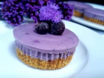 Blueberry Mini Cheese Cakes ! - Plattershare - Recipes, food stories and food lovers