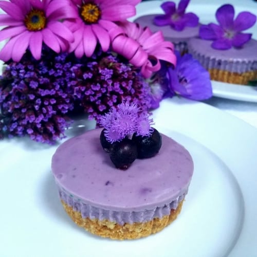 Blueberry Mini Cheese Cakes ! - Plattershare - Recipes, food stories and food lovers