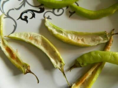 Creamy Mirchi Chillies With Roasted Garlic And Pepper - Plattershare - Recipes, food stories and food lovers