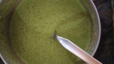 Saag Singhade: Creamy Spinach with Water Chestnuts - Plattershare - Recipes, food stories and food lovers Saag Singhade: Creamy Spinach with Water Chestnuts - Plattershare - Recipes, food stories and food lovers