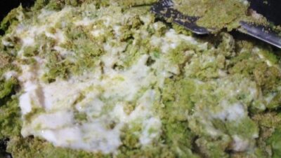 Unique Green Pea Sweet: A Festive Bengali Dessert - Plattershare - Recipes, food stories and food lovers Unique Green Pea Sweet: A Festive Bengali Dessert - Plattershare - Recipes, food stories and food lovers