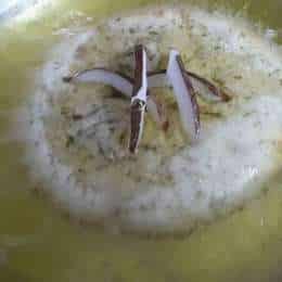 Kashmiri Susroot: A Festive Sweet Flatbread Recipe - Plattershare - Recipes, food stories and food lovers Kashmiri Susroot: A Festive Sweet Flatbread Recipe - Plattershare - Recipes, food stories and food lovers