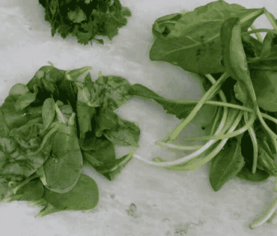 Whole Wheat Naan with Vibrant Greens - Plattershare - Recipes, food stories and food lovers Whole Wheat Naan with Vibrant Greens - Plattershare - Recipes, food stories and food lovers