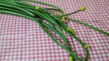 Onion Bud Stem - Plattershare - Recipes, food stories and food lovers