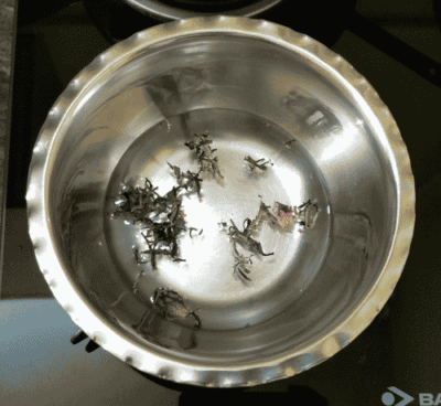 Authentic Kashmiri Kahwah: Aromatic Saffron Tea Recipe - Plattershare - Recipes, food stories and food lovers Authentic Kashmiri Kahwah: Aromatic Saffron Tea Recipe - Plattershare - Recipes, food stories and food lovers