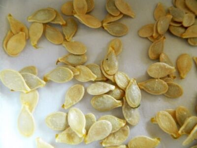 Perfectly Roasted Pumpkin Seeds: A Crispy & Salty Snack - Plattershare - Recipes, food stories and food lovers Perfectly Roasted Pumpkin Seeds: A Crispy & Salty Snack - Plattershare - Recipes, food stories and food lovers