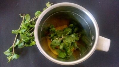 Refreshing Mango Panna with Mint and Orange Zest - Plattershare - Recipes, food stories and food lovers Refreshing Mango Panna with Mint and Orange Zest - Plattershare - Recipes, food stories and food lovers