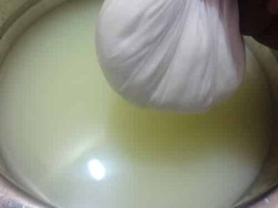 Rasagulla Recipe (Indian Cottage Cheese Dessert) - Plattershare - Recipes, food stories and food lovers Rasagulla Recipe (Indian Cottage Cheese Dessert) - Plattershare - Recipes, food stories and food lovers