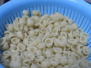 Cheese Macaroni Shell Pasta - Plattershare - Recipes, food stories and food lovers