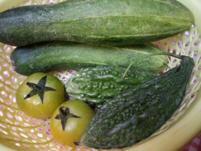 Diabetes Remedy - Plattershare - Recipes, food stories and food lovers Diabetes Remedy - Plattershare - Recipes, food stories and food lovers