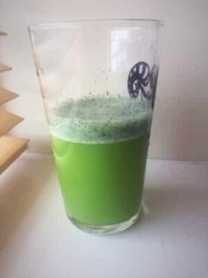 Blackberry & Green-Apple Slush Mocktail! - Plattershare - Recipes, food stories and food lovers Blackberry & Green-Apple Slush Mocktail! - Plattershare - Recipes, food stories and food lovers