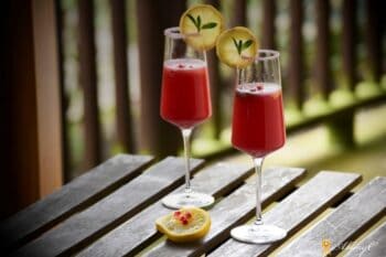 Refreshing Pomegranate & Lemon Mocktail! - Plattershare - Recipes, food stories and food lovers