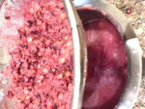 Falsa Sherbet - Plattershare - Recipes, food stories and food lovers