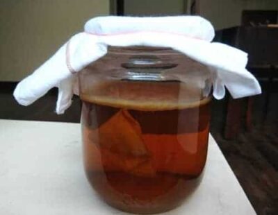 Easy Kombucha Tea Recipe / Health Drink Kombucha Tea / Kombucha Recipe 1 Litre - Plattershare - Recipes, food stories and food lovers Easy Kombucha Tea Recipe / Health Drink Kombucha Tea / Kombucha Recipe 1 Litre - Plattershare - Recipes, food stories and food lovers