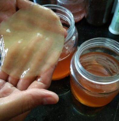 Easy Kombucha Tea Recipe / Health Drink Kombucha Tea / Kombucha Recipe 1 Litre - Plattershare - Recipes, food stories and food lovers Easy Kombucha Tea Recipe / Health Drink Kombucha Tea / Kombucha Recipe 1 Litre - Plattershare - Recipes, food stories and food lovers