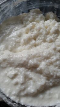 Nadaru Thayir Sadham / Curd Rice - Plattershare - Recipes, food stories and food lovers