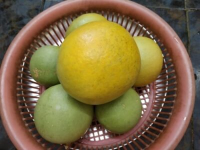 Homemade Bael Murabba (Wood Apple Preserve): A Delicious and Digestive Treat - Plattershare - Recipes, food stories and food lovers Homemade Bael Murabba (Wood Apple Preserve): A Delicious and Digestive Treat - Plattershare - Recipes, food stories and food lovers