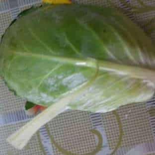 Steamed Cabbage Parcels with Savory Paneer Filling - Plattershare - Recipes, food stories and food lovers Steamed Cabbage Parcels with Savory Paneer Filling - Plattershare - Recipes, food stories and food lovers