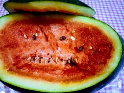 Refreshing Crushed Watermelon Granita: A Healthy Summer Treat - Plattershare - Recipes, food stories and food lovers Refreshing Crushed Watermelon Granita: A Healthy Summer Treat - Plattershare - Recipes, food stories and food lovers