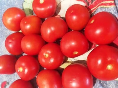 Flavorful Vegan Stuffed Tomatoes with Lentils (No Onion, No Garlic) - Plattershare - Recipes, food stories and food lovers Flavorful Vegan Stuffed Tomatoes with Lentils (No Onion, No Garlic) - Plattershare - Recipes, food stories and food lovers