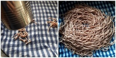 Savory Ragi Sevai: A Quick & Healthy South Indian Breakfast - Plattershare - Recipes, food stories and food lovers Savory Ragi Sevai: A Quick & Healthy South Indian Breakfast - Plattershare - Recipes, food stories and food lovers