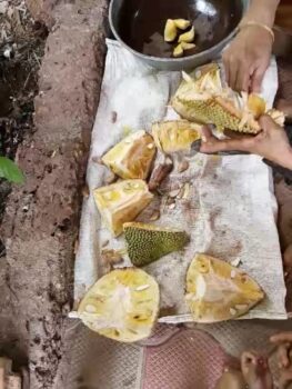 Jackfruit Kottige - Plattershare - Recipes, food stories and food lovers