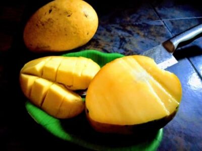 Homemade Mango & Vanilla Dual Ice Cream: A Nostalgic Treat - Plattershare - Recipes, food stories and food lovers Homemade Mango & Vanilla Dual Ice Cream: A Nostalgic Treat - Plattershare - Recipes, food stories and food lovers