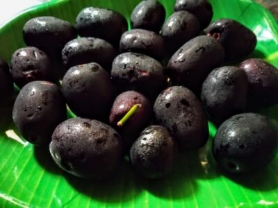 Cooling Black Jamun Frozen Yogurt: A Healthy Summer Treat - Plattershare - Recipes, food stories and food lovers Cooling Black Jamun Frozen Yogurt: A Healthy Summer Treat - Plattershare - Recipes, food stories and food lovers